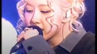 ︴  Rose︴