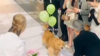 پشت صنحه سریال در فصل درخشان تو ln your radiant season