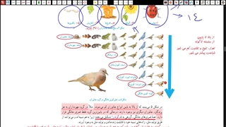 علوم نهم - فصل 11 - بخش دوم