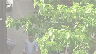 موسیقی در باد