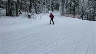 Cross Country Skiing