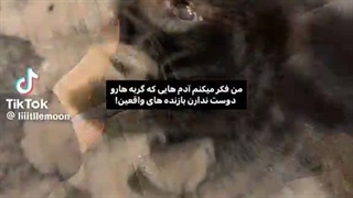 فحش دهنده گان به دی جی فرم همگی سیلام *گپ*
