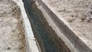 سریزد
