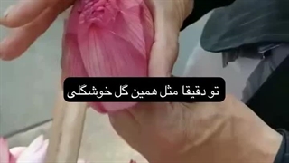 شما ها دقیقا شبیه همین گل قشنگید