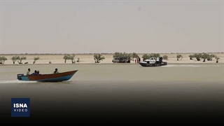 جان تازه به «هامون»