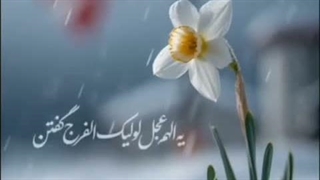 مردم اگر می‌دونستن یه اللهم عجل لولیک الفرج گفتن چقدر بزرگشون می‌کنه....  چقدر مشکلات رو برطرف می‌کنه  چقدر...