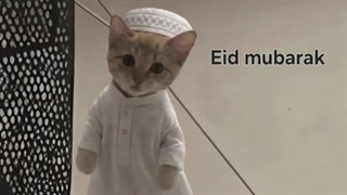آیا شما میدونستین فردا عید منه؟