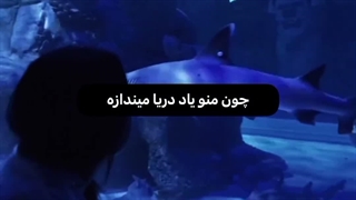 چه وضعشه؟ کپ