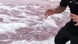 پست یک توریست خارجی از دریاچه نمک صورتی در ایران....