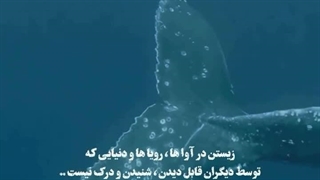 تنهایی فقط برای انسان نیست .