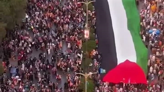 کلیپ قدیمی از حمایت و همدردی مردم خارجی از فلسطین!....