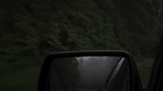 ای گل سنگم ، گل سنگم .‌..