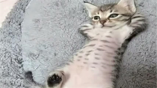 هعی کسی نیس:)