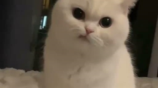 با همتون گهلم ناملداااااا
