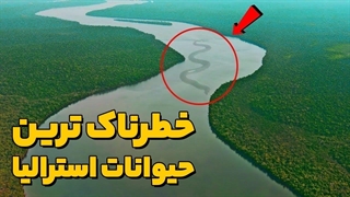 10 تا از خطرناک ترین حیوانات استرالیا