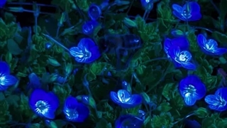 جادوی لبخند تو؛ پارت هشتم (در کپشن♡)