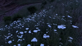 جادوی لبخند تو؛ ادامه پارت دهم (در کپشن♡)