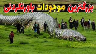 پانزده تا از بزرگترین حیوانات و حشرات کره زمین که شما را شگفت زده میکند!