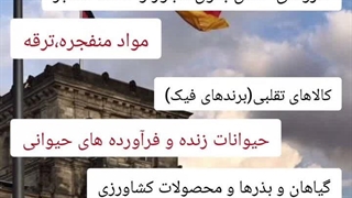 لیست ممنوعیات گمرک آلمان برای ایرانیان