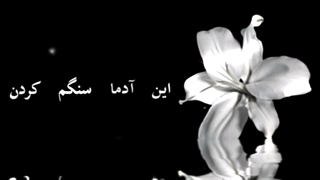 این آدما سنگم کردن