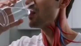 لجن داخل آب معدنی