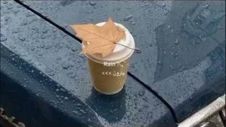 خواستم بگم...کپ