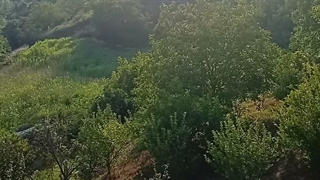 رفته بودیم باغمون طبیعت رو ببینید⁦(⁠ ⁠ꈍ⁠ᴗ⁠ꈍ⁠)⁩