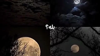 فقط چند ثانیه بخاطر این همه زیبایی سکوت کنیم☆