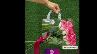 سفارش  رز جومیلیا تازه