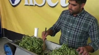 دستگاه آبغوره گیری که راحت شسته میشود | اصفهان
