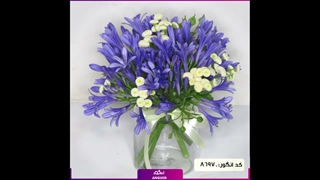 سفارش گل سوسن طبیعی و تازه