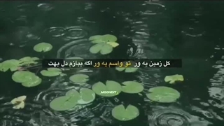 عاشق آهنگم:>>>  کپ مهم